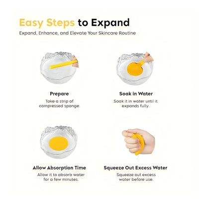 Prism Essential Sponge Makeup Removal Sponge 12Pcs Set