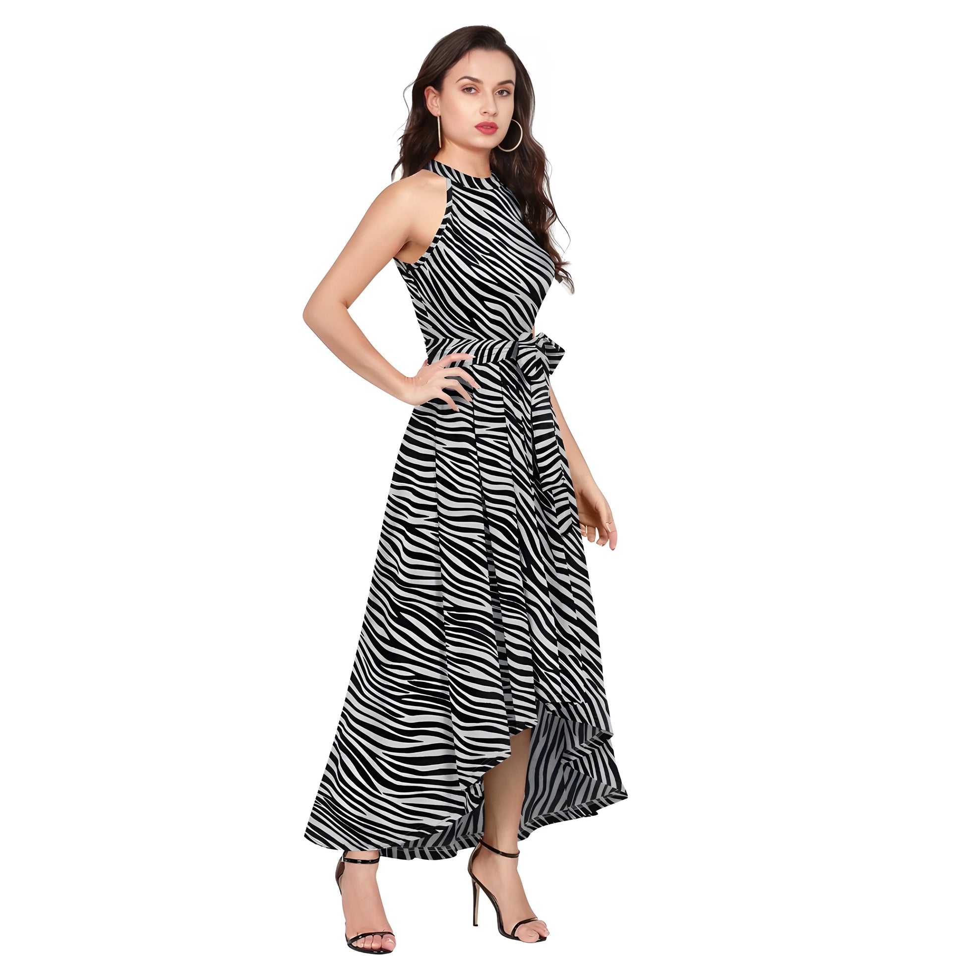 Iliana Zebra Printed Dress