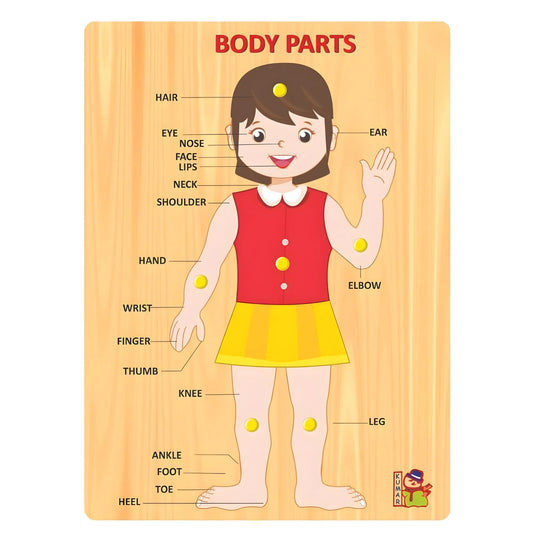 Isola Body Parts | Wood | Educational Toys | + Years