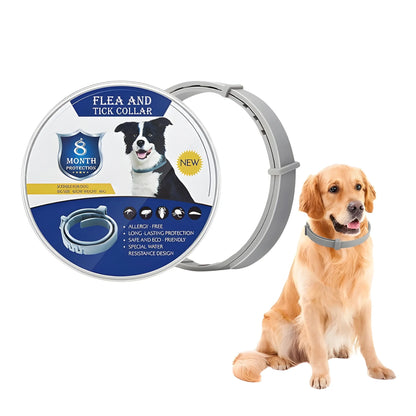 Slate Essential Silicone Dog Flea Collar